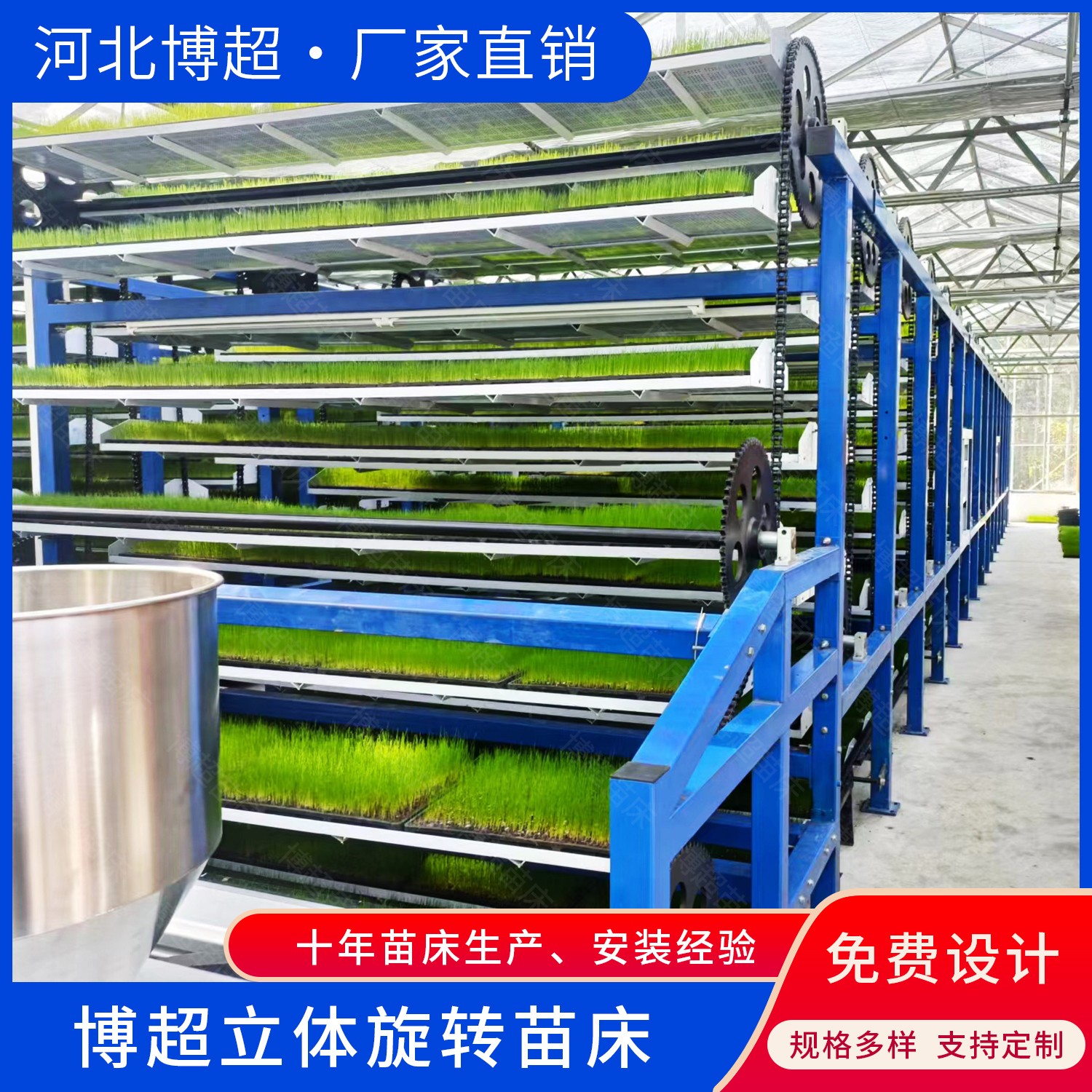 ���w���D(zhu��n)������